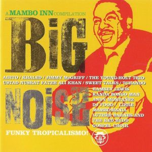 Big Noise: A Mambo Inn Compilation