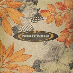 Night Walk (Single)