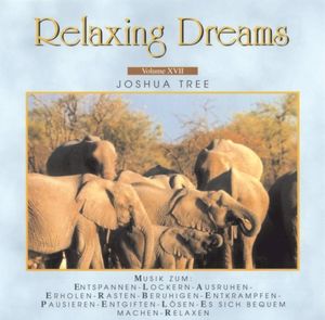 Relaxing Dreams, Volume XVII: Joshua Tree