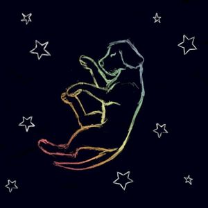 Darklight (extended mix) (Single)
