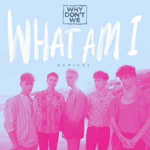 What Am I (Casualkimono remix)