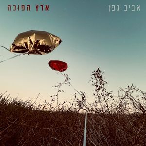 ארץ הפוכה (Single)