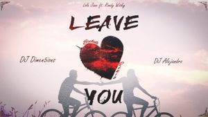 Leave You (Dimen5ions & DJ Alejandro Bachata Remix) (Single)