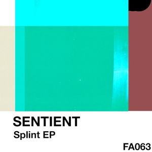 Splint EP (EP)