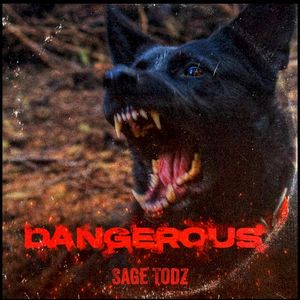 DANGEROUS (Single)
