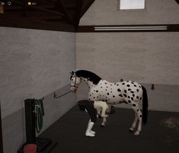 image-https://media.senscritique.com/media/000022639460/0/unbridled_that_horse_game.jpg