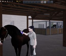 image-https://media.senscritique.com/media/000022639463/0/unbridled_that_horse_game.jpg