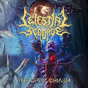 The Optic Chiasm (Single)