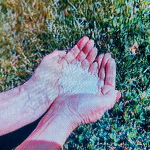 RICE (Single)