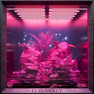 Ultraviolet (Single)
