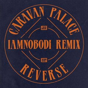 Reverse (IAMNOBODI remix)