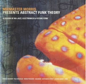 Mixmaster Morris Presents Abstract Funk Theory