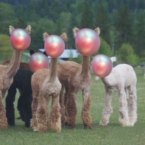 Amazing Bubble Drones (EP)