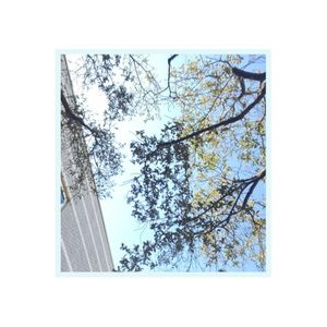 don’t know (Single)