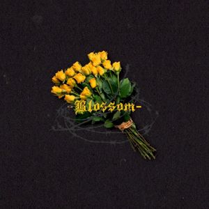 Blossom