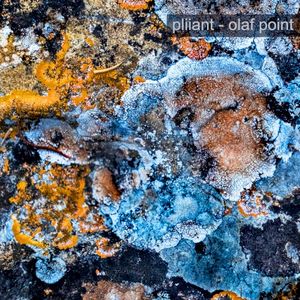 Olaf Point (EP)