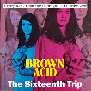 Brown Acid: The Sixteenth Trip