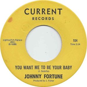 You Want Me To Be Your Baby / Don Stole My Girl (Single)