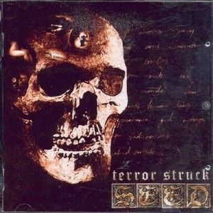 Terror Struck