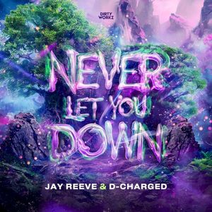 Never Let You Down (Extended Mix) (Single)