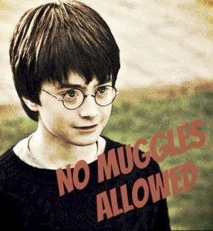 no muggles allowed (EP)