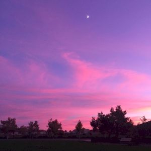 Late Night (Single)