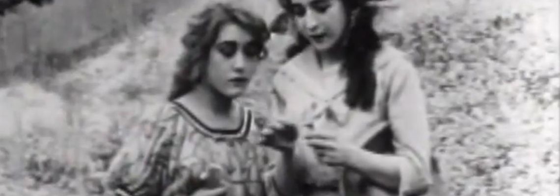 Cover What the Daisy Said