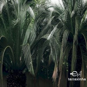 Evil Tarraxinha (Single)