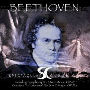 Symphony No. 5 In C Minor Op, 'allegreo Con Brio'