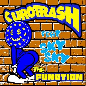 The Function (Single)