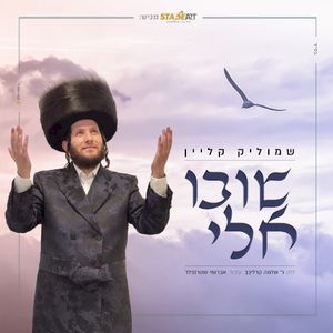 שובו אלי (Single)