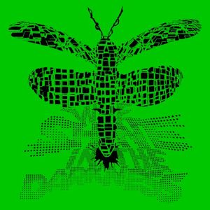 Festival (Single)