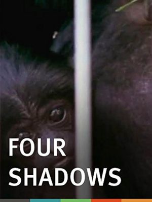 Four Shadows