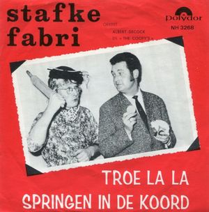 Springen in de koord