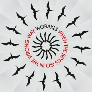 When The Birds Go In The Wrong Way (Single)