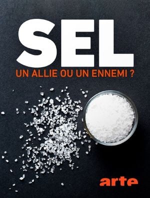 Sel : un allié ou un ennemi ?