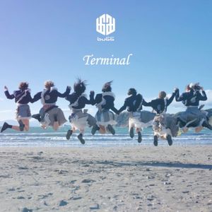 Terminal (Single)