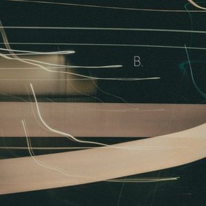 B. (Single)