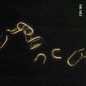 Too Nice (Single)
