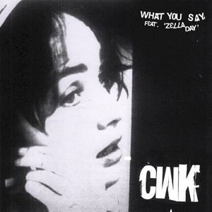 What You Say (Single)