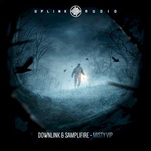 Misty VIP (Single)