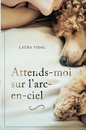 Attends-moi sur l’arc-en-ciel