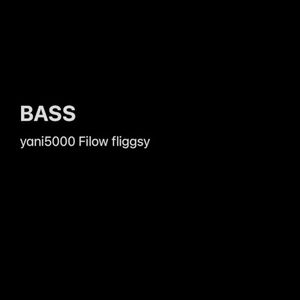 BASS (Single)