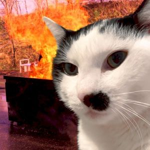 boogercore (Single)