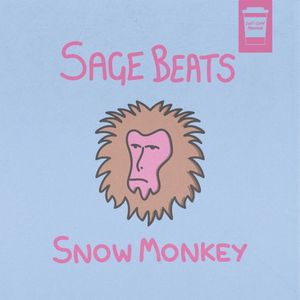 Snow Monkey