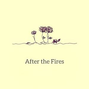 After the Fires (Single)