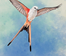 image-https://media.senscritique.com/media/000022675196/0/wingspan.png