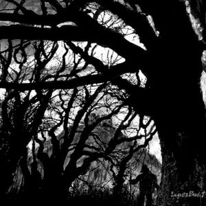 Shadows of Past Wars 2002-2008