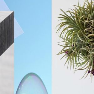 Air Plants A=B (EP)