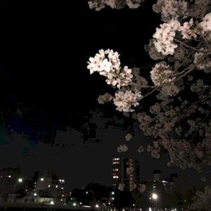 better than this (Single)
